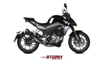 STORM by MIVV GP-C Edelstahl schwarz CF MOTO 300 NK 21-24
